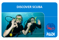 Discover Scuba Diving Пробне занурення з аквалангом у басейні