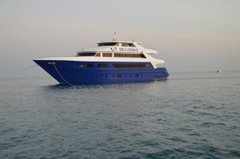 Дайвінг сафарі на яхті Sea Legend по Червоному морю на дальній південь Єгипту. 30.05-06.06.2020